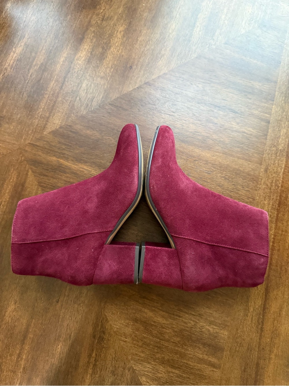 Steve Madden Women's Suede Ankle Booties in Burgundy